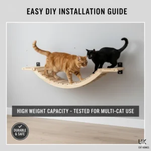 Illustration of two cats safely sharing a wall bridge, highlighting the high weight capacity and durability.