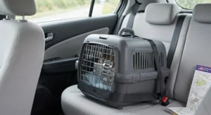 A secured hard-sided cat carrier positioned safely on a car seat.