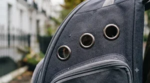 Close-up of the metal ventilation eyelets on the bubble cat backpack to ensure pet safety.