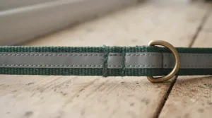 Reflective strip detail on a high-visibility breakaway cat collar.