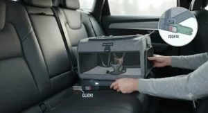 Close-up view showing the seatbelt installation method for securely fitting a cat carrier in a car.