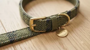 Close-up of premium soft leather and durable stitching on a handmade designer cat collar, showcasing high-end British craftsmanship.