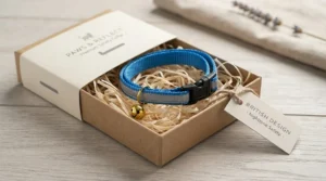 A brand-new reflective cat collar presented neatly in eco-friendly, plastic-free retail packaging.