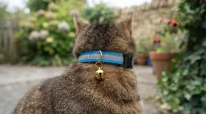 A lightweight reflective cat collar featuring a small removable safety bell to protect local British wildlife.