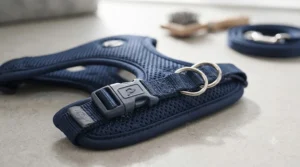 Close-up of the heavy-duty quick-release buckle and double-ring leash attachment on an escape proof cat harness.