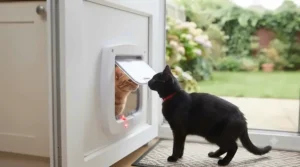 Illustration demonstrating how a microchip-activated pet door blocks stray neighbourhood cats while allowing household pets free movement.