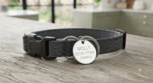 A reflective cat ID tag shining brightly under a light, designed for outdoor visibility during British winter nights.
