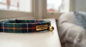 Traditional British tartan patterned bespoke cat collar with a custom engraved buckle.