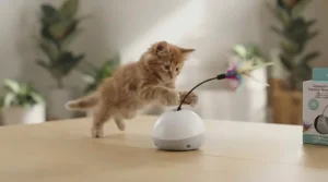 A dynamic, high-energy shot of a ginger kitten leaping into the air to catch the erratic feather attachment of the electronic cat toy.