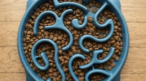 A close-up of dry biscuits scattered across a green slow feeder puzzle bowl for cats.